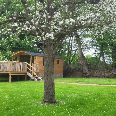 Roulotte Escapade Nature A Morainville - Normandie Zewnętrze zdjęcie